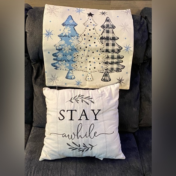 16x 16 inch pillow and seasonal pillow cover - Picture 2 of 5